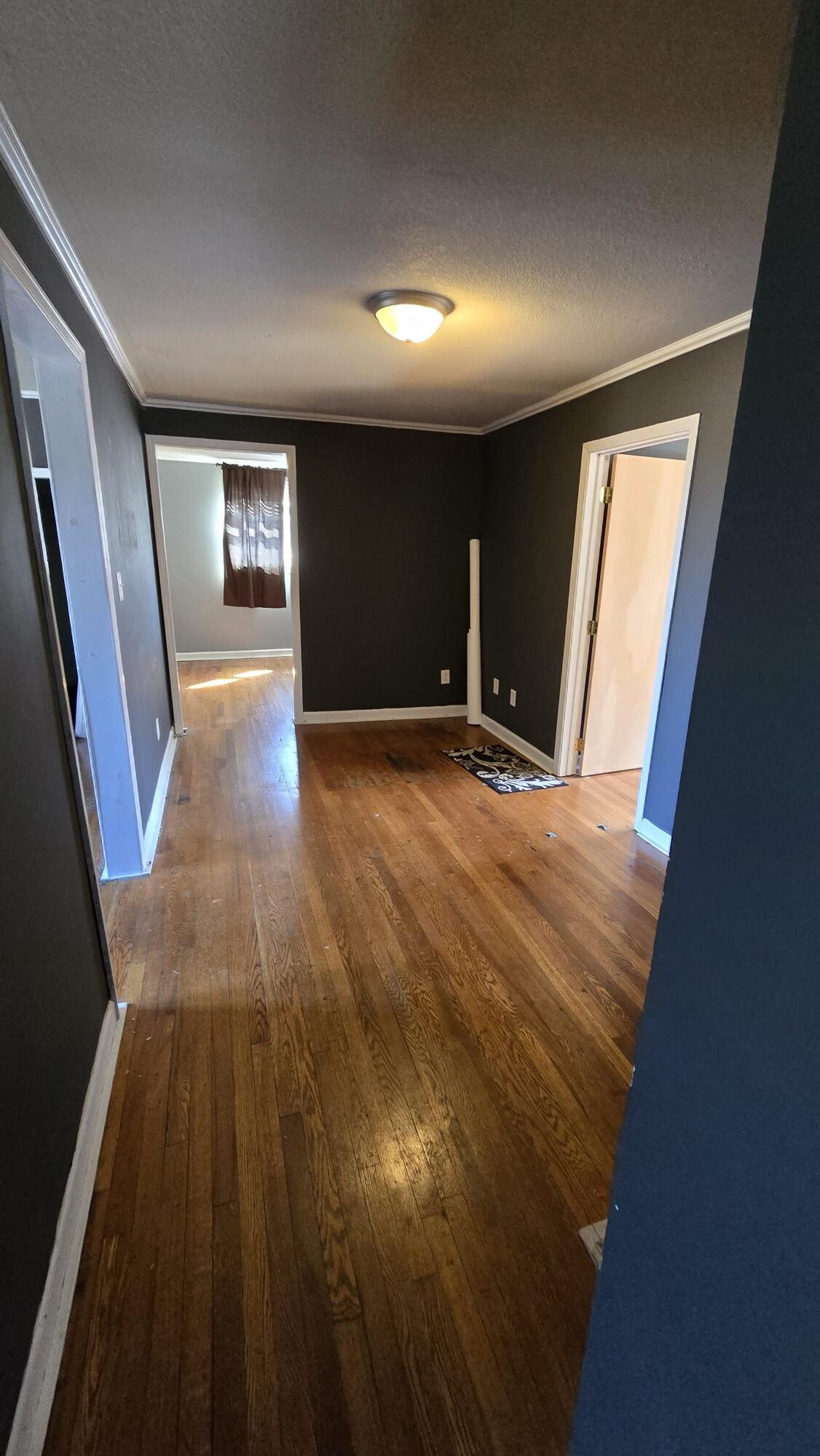 221 – 223 Market Street Johnson City Tennessee